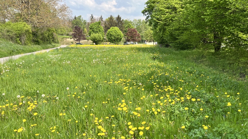 22-05-02 13-23-25 0723.jpg